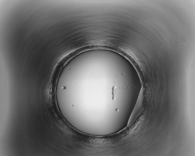 X0000095900971200801181242