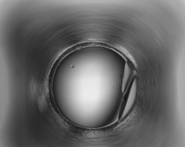 X0000095900972200801181242