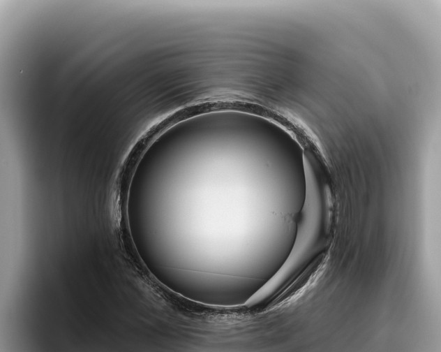 X0000095900973200801181242