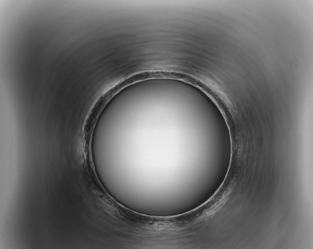 X0000095900974200801181242