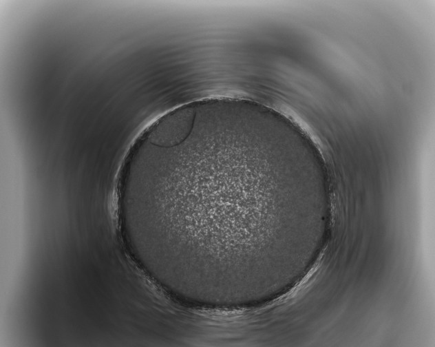 X0000095900975200801181242