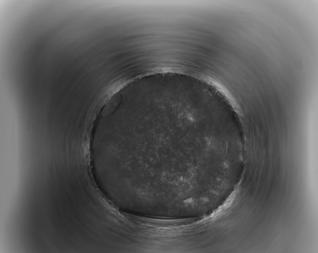 X0000095900977200801181242