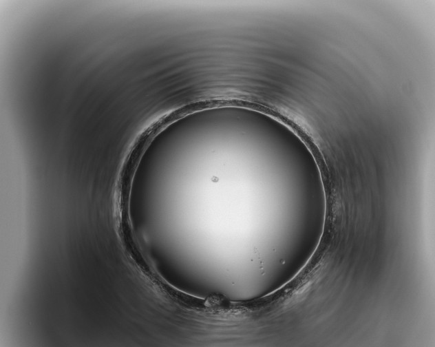 X0000095900979200801181242