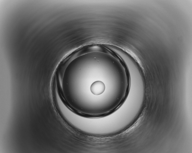 X0000095900981200801181242