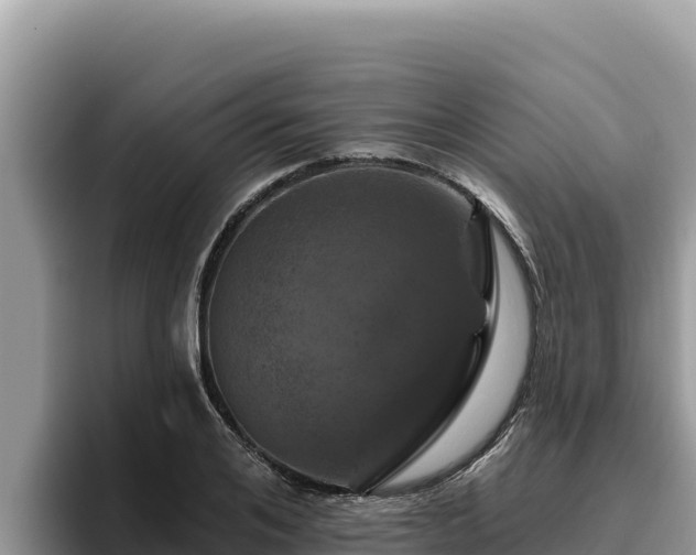 X0000095900984200801181242