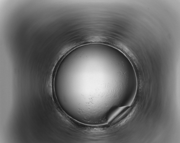 X0000095900986200801181242