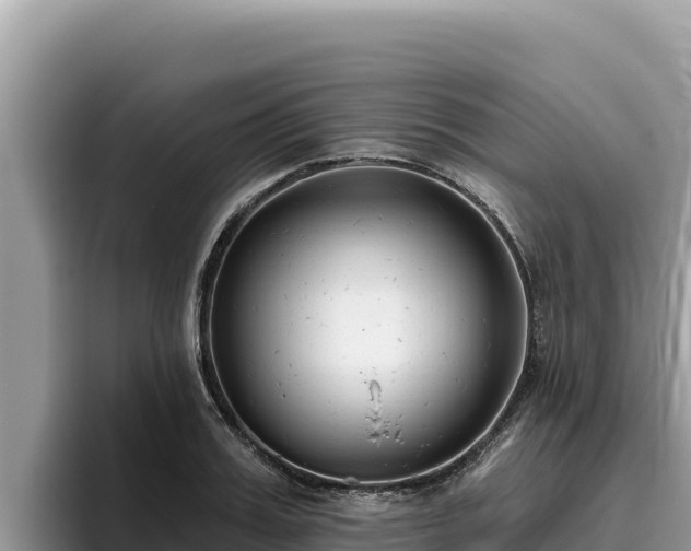 X0000095900987200801181242