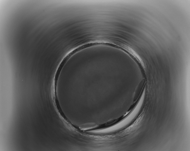 X0000095900988200801181242