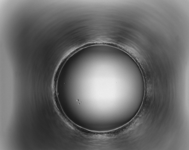 X0000095900990200801181242