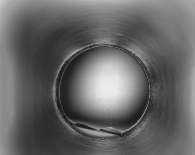 X0000095900991200801181242