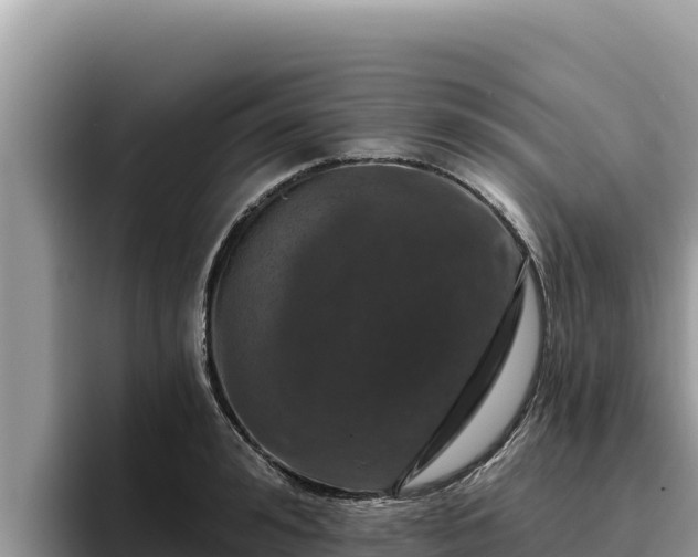 X0000095900992200801181242