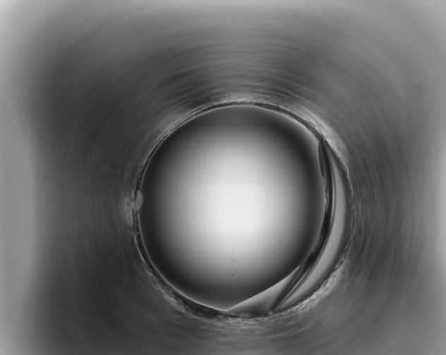 X0000095900993200801181242