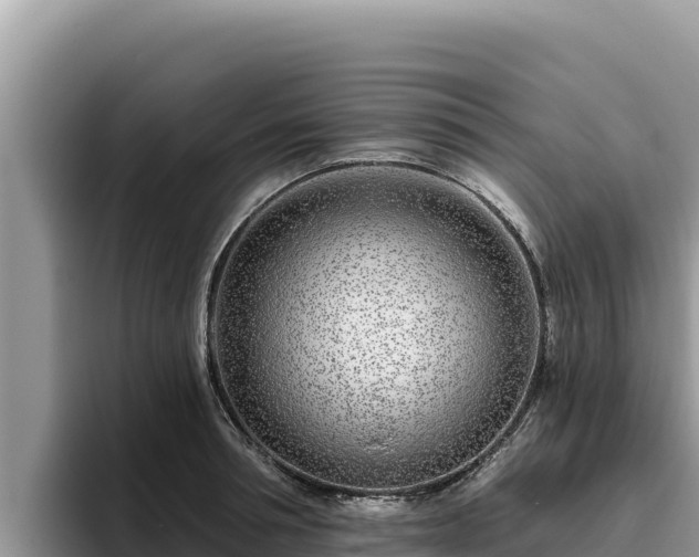 X0000095900994200801181242