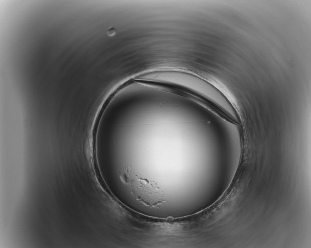 X0000095900996200801181242