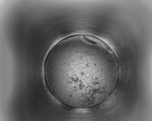 X0000095900998200801181242