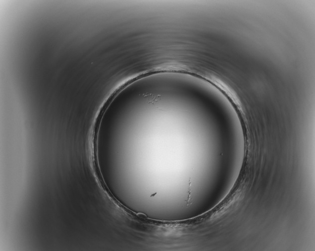 X0000095901000200801181242