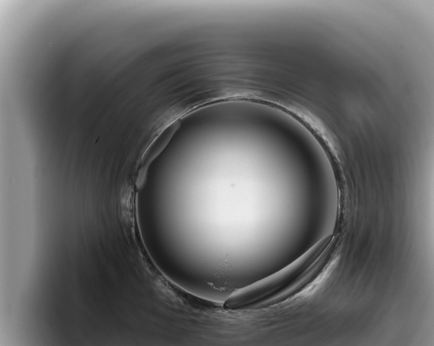 X0000095901001200801181242