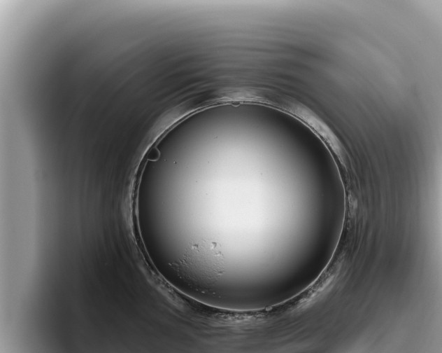 X0000095901002200801181242