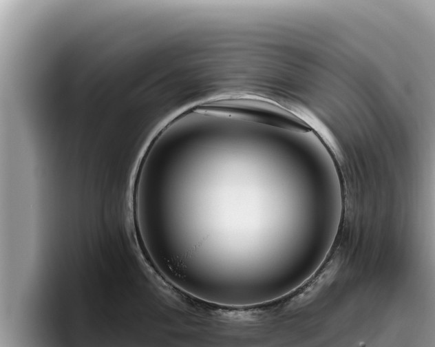 X0000095901004200801181242