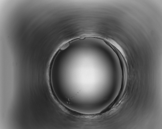 X0000095901005200801181242