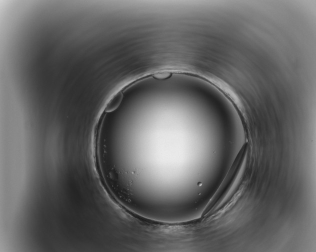 X0000095901006200801181242