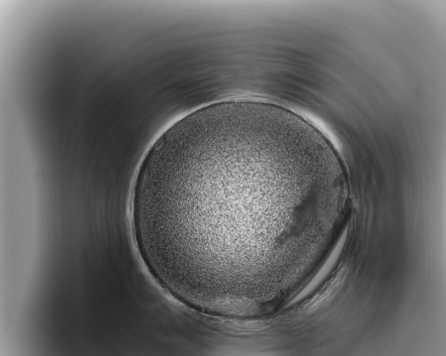 X0000095901007200801181242