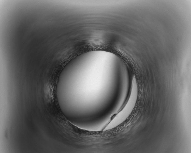 X0000095901010200801181241