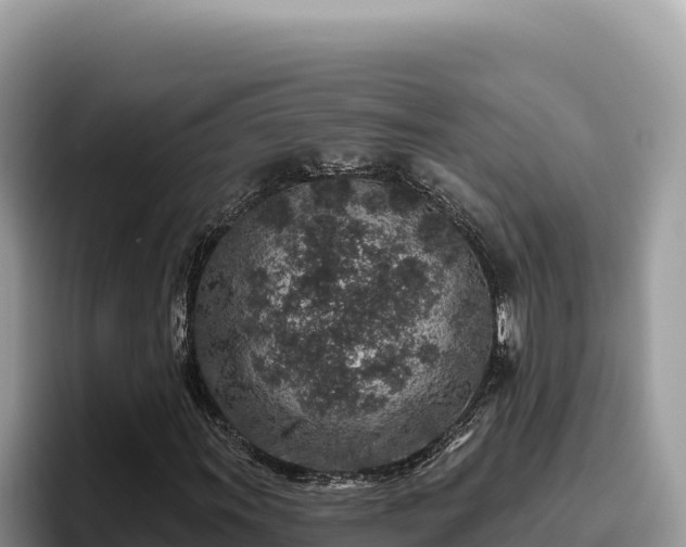 X0000095901011200801181241