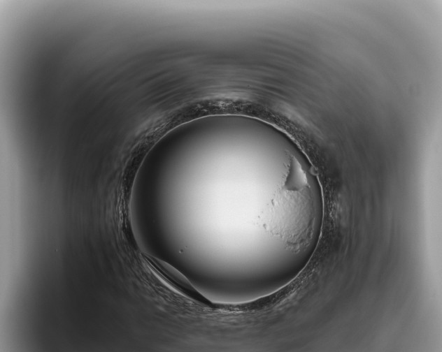 X0000095901014200801181241