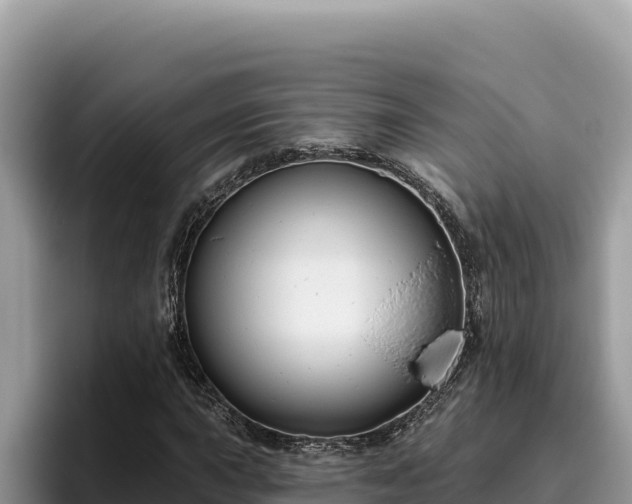 X0000095901015200801181241