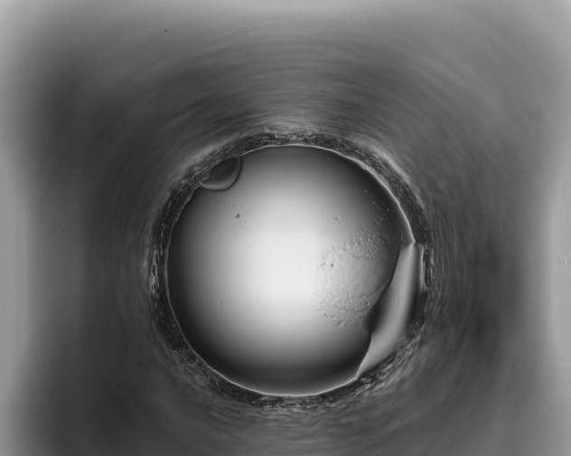 X0000095901016200801181241