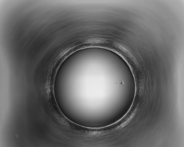 X0000095901017200801181241