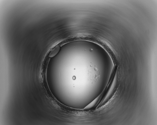 X0000095901018200801181241