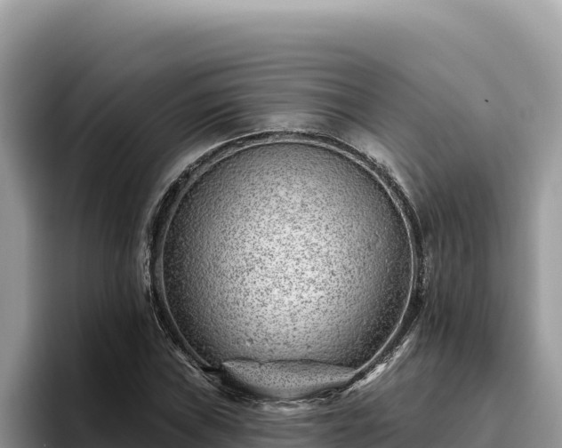 X0000095901019200801181241