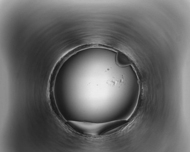 X0000095901020200801181241