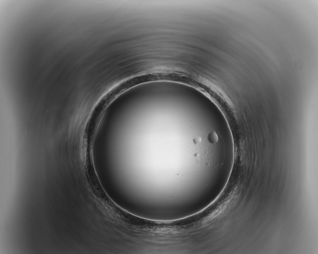 X0000095901021200801181241