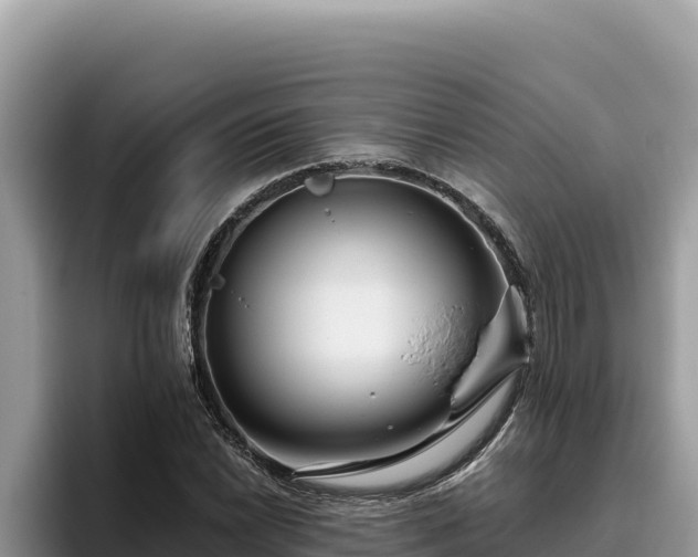 X0000095901022200801181241