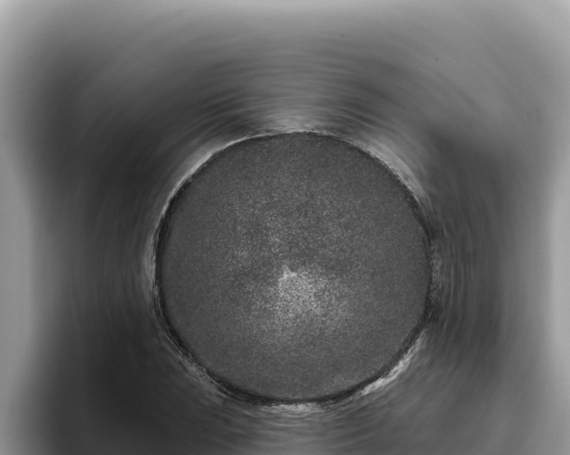 X0000095901023200801181241