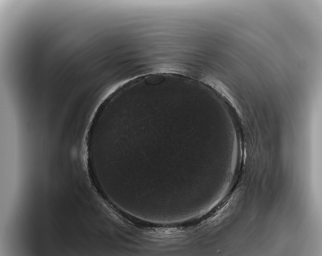 X0000095901024200801181241