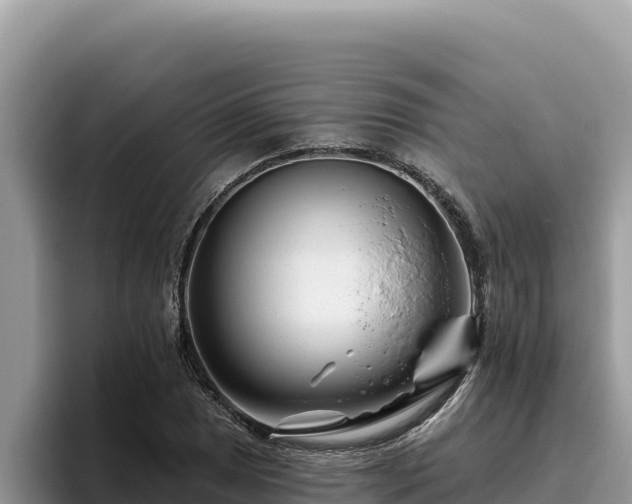 X0000095901025200801181241