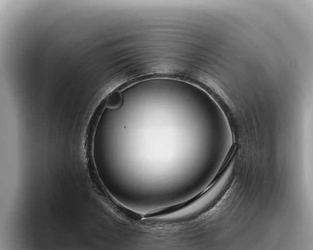 X0000095901026200801181241