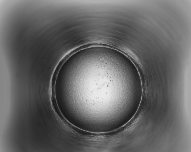 X0000095901028200801181241