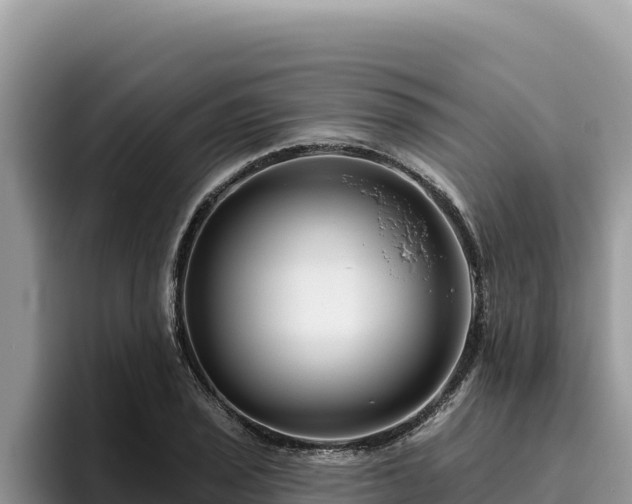 X0000095901029200801181241