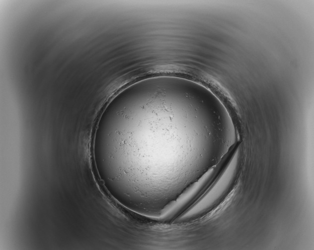 X0000095901033200801181242