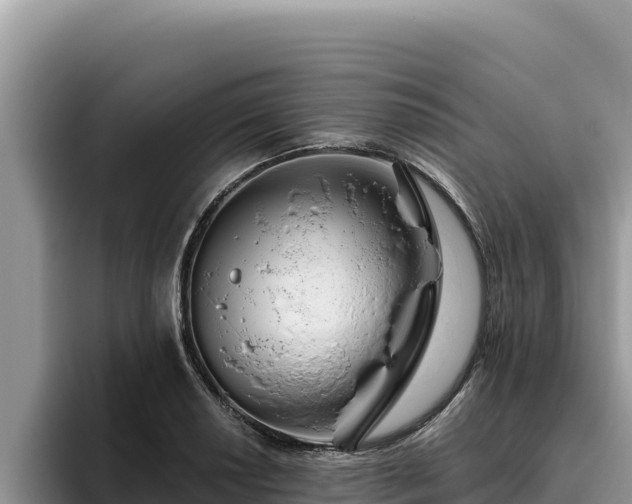 X0000095901034200801181242