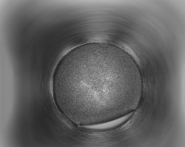 X0000095901035200801181242