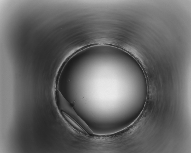 X0000095901040200801181242