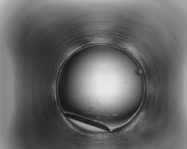 X0000095901041200801181242