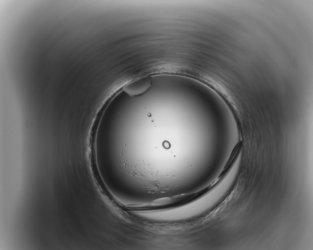 X0000095901042200801181242