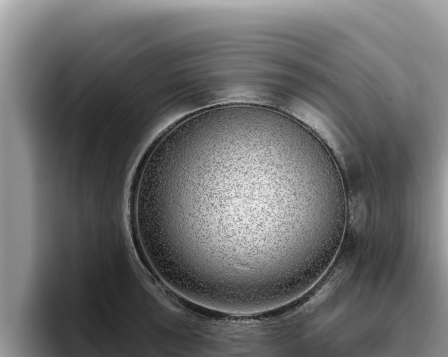 X0000095901043200801181242